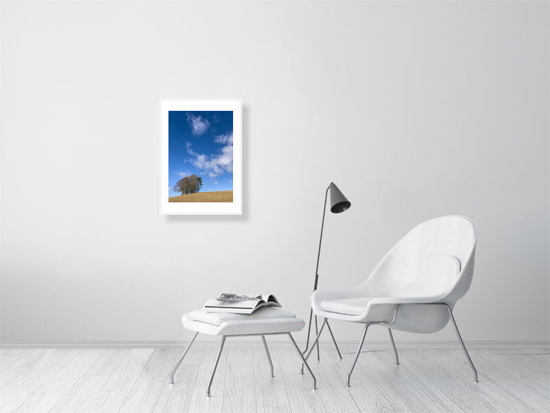 Thumbnail: SEVEN SPRING TREES COLOUR 1
