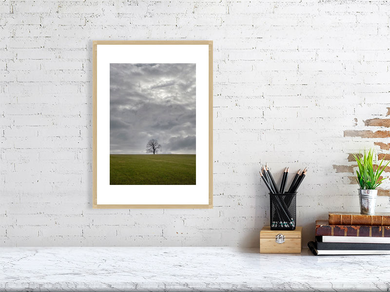 Thumbnail: LONE TREE COLOUR 8