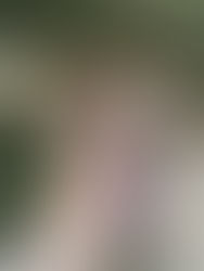 Our Life Insurance Regrets