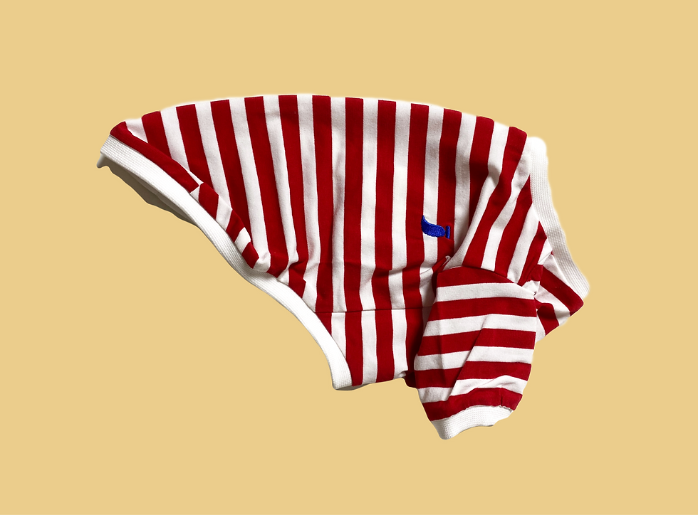 サムネイル： コットンボーダーTee red4