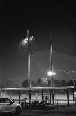 Solitude of a Moth