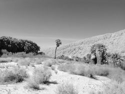 Desert Outpost
