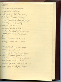 Near Final (Journal Version)