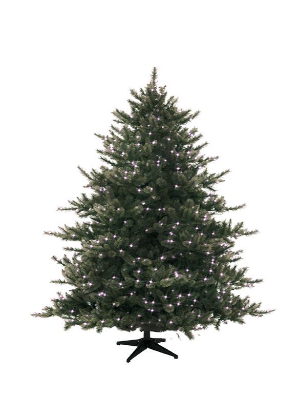 クリスマスパインツリー4