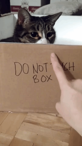 donottouchbox.gif