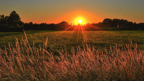 The 7-Minute Scoop: Sundowners Syndrome Explained