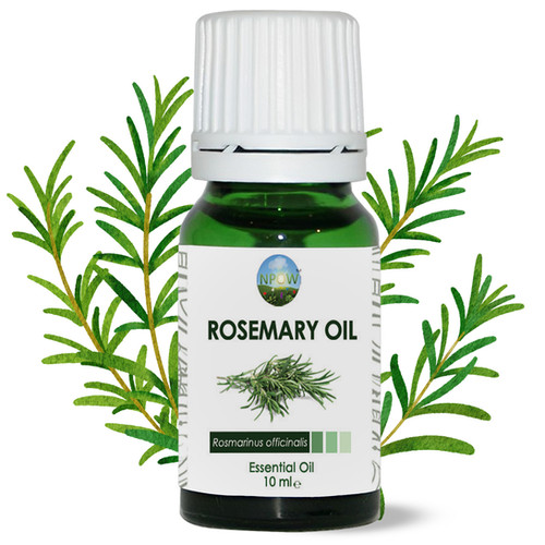 Rosemary Essential Oil, Rosemary Hair Growth Oil