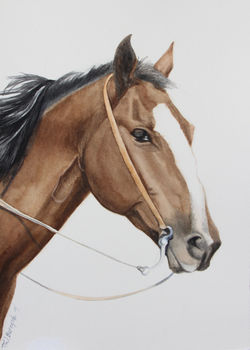 "Along for the Ride" up-close watercolor 30x22 19'