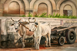 Cows & Wagon, Agra 22x15 wc 07'