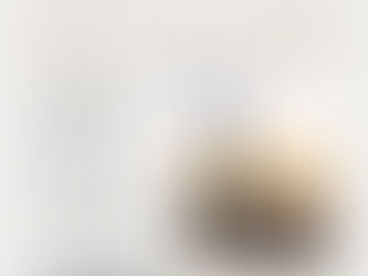 Renewing & Ending Lease Agreements: A Tenant's Guide