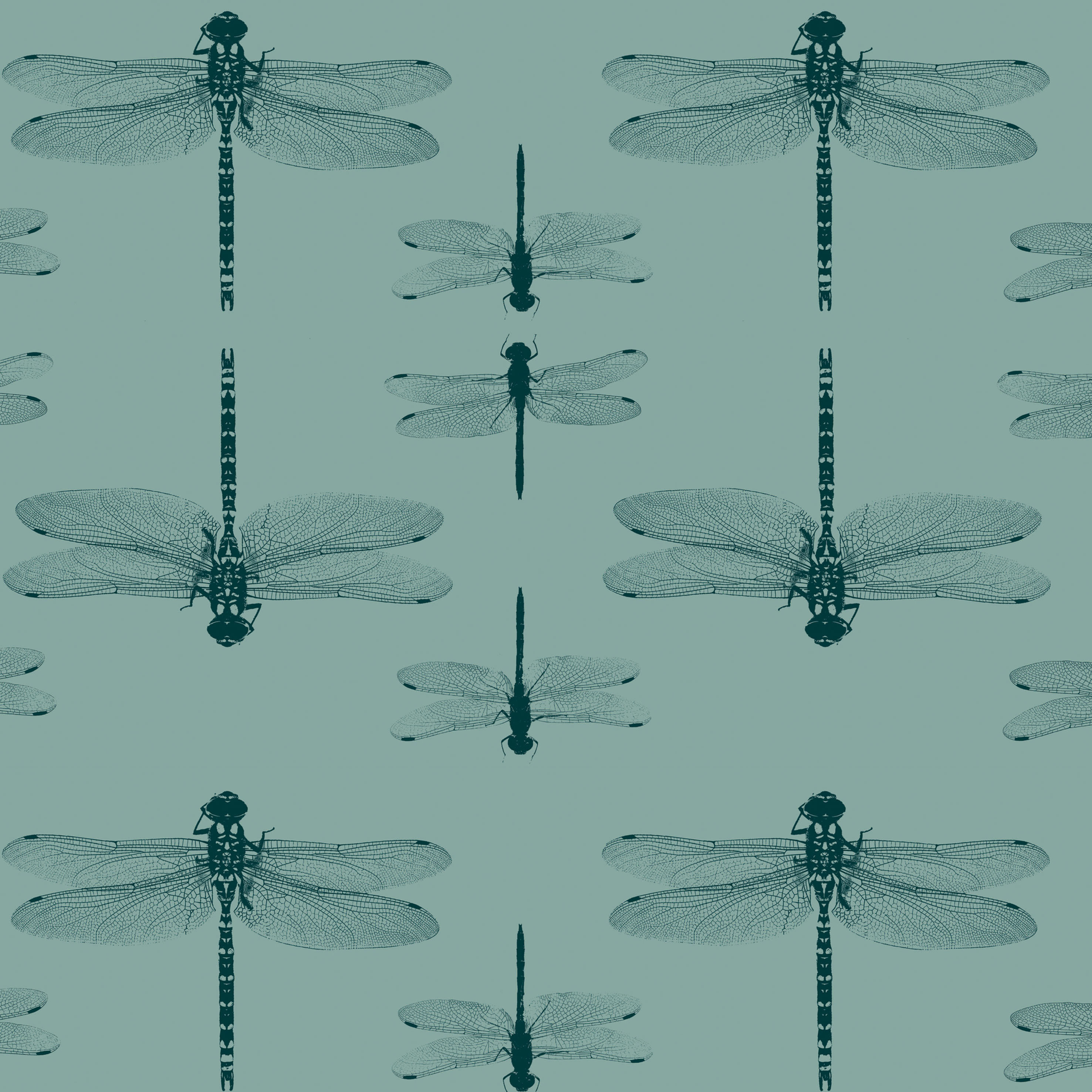 Deep duck egg blue wallpaper with teal dragonflies