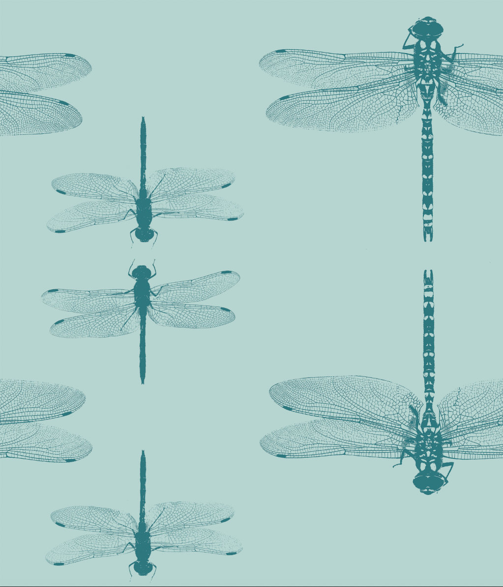 copy of Giant Dragonfly - pale teal