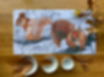 red squirrel tea towels