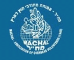 The Israeli Air Force (IAF)