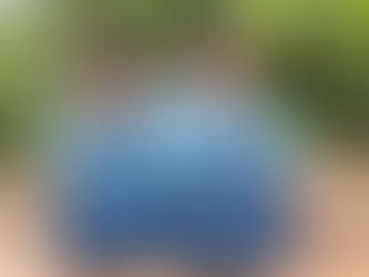 The Self and Emotional Development