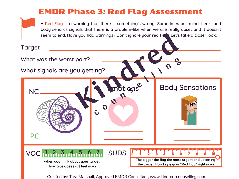Thumbnail: EMDR Phase 3: Assessment - Red Flags Assessment (2pgs)
