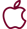 apple.webp