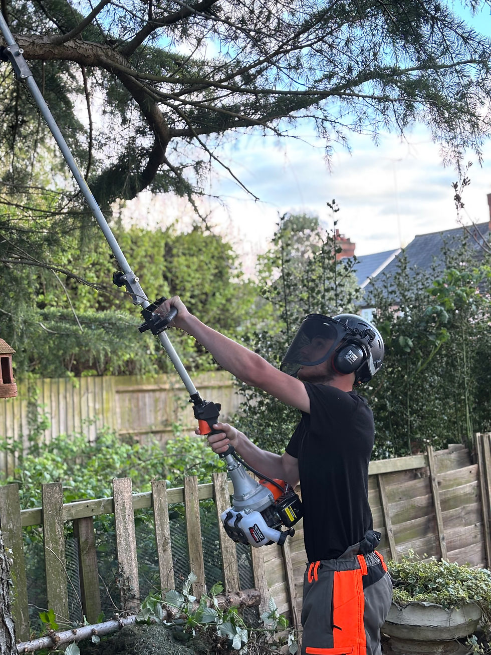 Person trimming tree with long-reach trimmer and safety gear