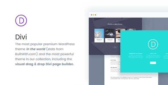 5 Reasons to Consider Using Divi WordPress Themes