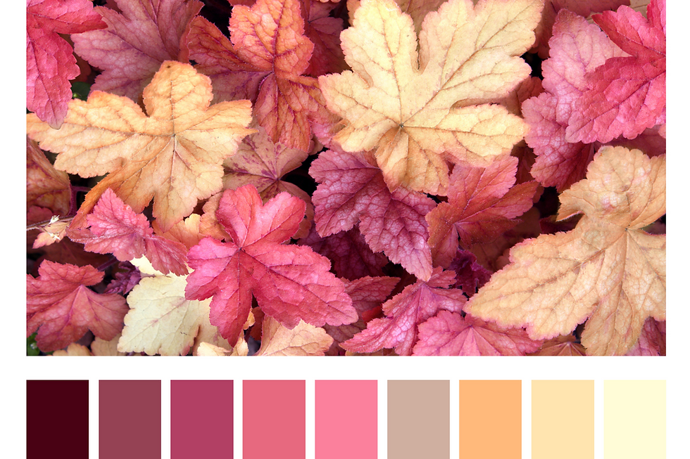 armocromia autunno, palette autunno armocromia