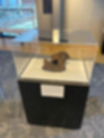 The "Basked" meteorite