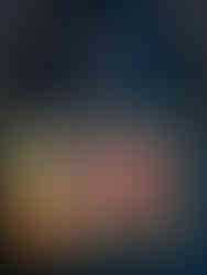 How We Hamsters Die - design