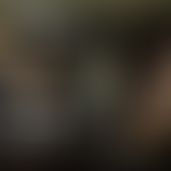 PERFECTING PREFLEXIA IS PERPLEXING