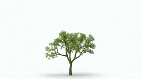 tree-grow.gif