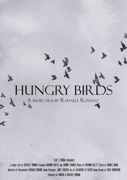  HUNGRY BIRDS