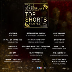 2020 07 TS SCREENPLAY FINALIST