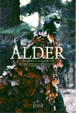 Alder