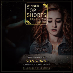 Songbird design