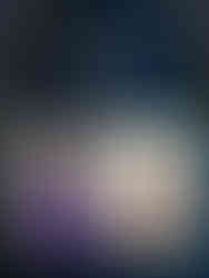 The winners - designs