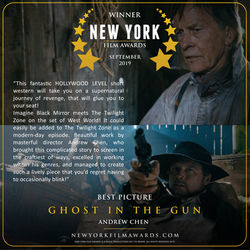 GHOST IN THE GUN review