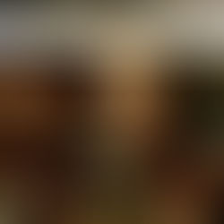 The Possible Life - Film Review