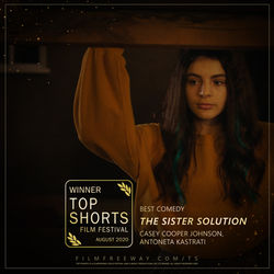 The Sister Solution design