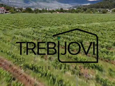 Small city with rich history - Trebinje