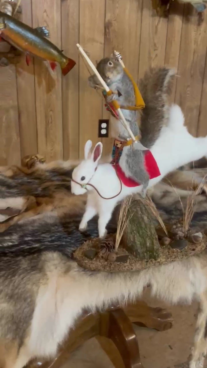 Squirrel Riding White Rabbit While Shooting Bow & Arrow
