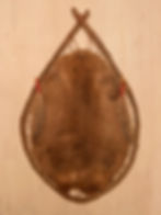 beaver skin hoop