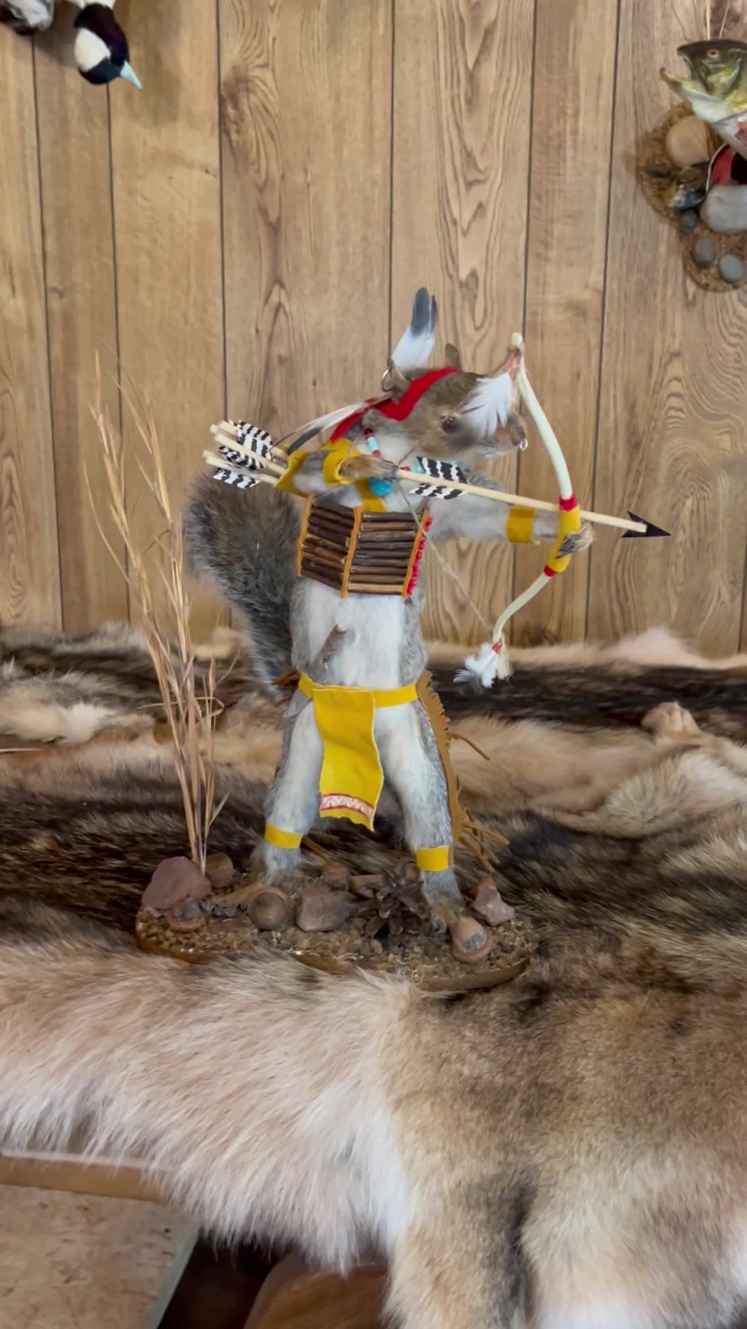 Squirrel Shooting Bow