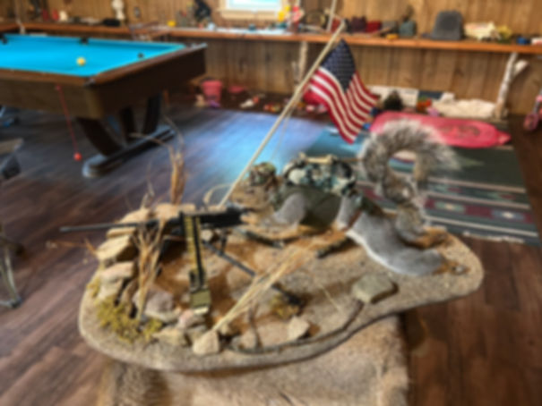 Squirrel shooting M-2 / 50 caliber machine gun