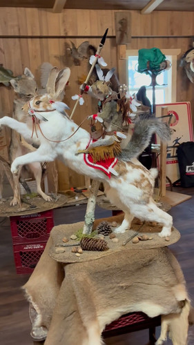 Squirrel Riding White And Brown Rabbit Daka Taidermy Novelt squirrel-riding-white-and-brown-rabbit-daka-taidermy-novelt