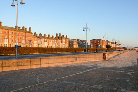 DSC_9356.jpg