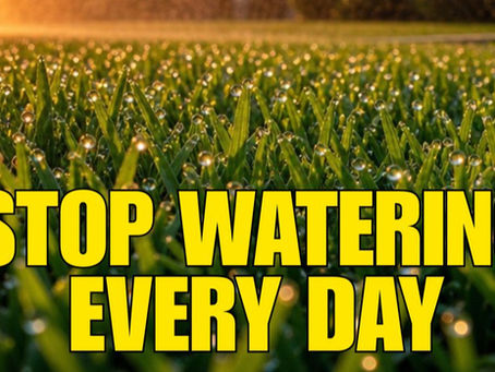 Healthy Bermuda grass being watered during an Oklahoma summer morning
