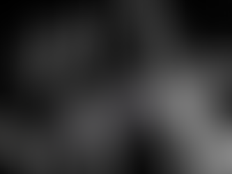 Automation with the Robo-Advisor : A Comprehensive Guide to Best Robo-Advisors