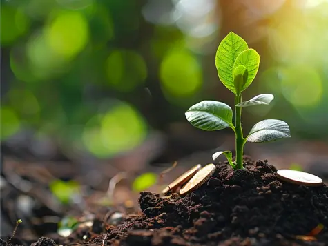 Everything You Should Know About Mutual Funds NAV