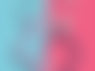 A Guide to the Difference Between Health Plan and Health Insurance