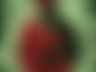 Protect Yourself: Common Types of Financial Frauds in India and How to Avoid Them