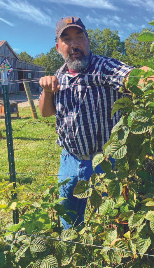 black farmers2.jpeg