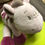 Miniature : poney Noukies jack